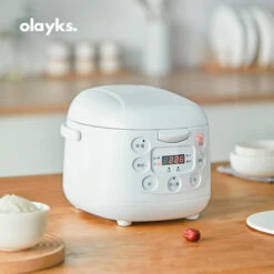 Mini Cuiseur à Riz Domestique 2L Petit Cuiseur à Riz Entièrement Automatique,Blanc